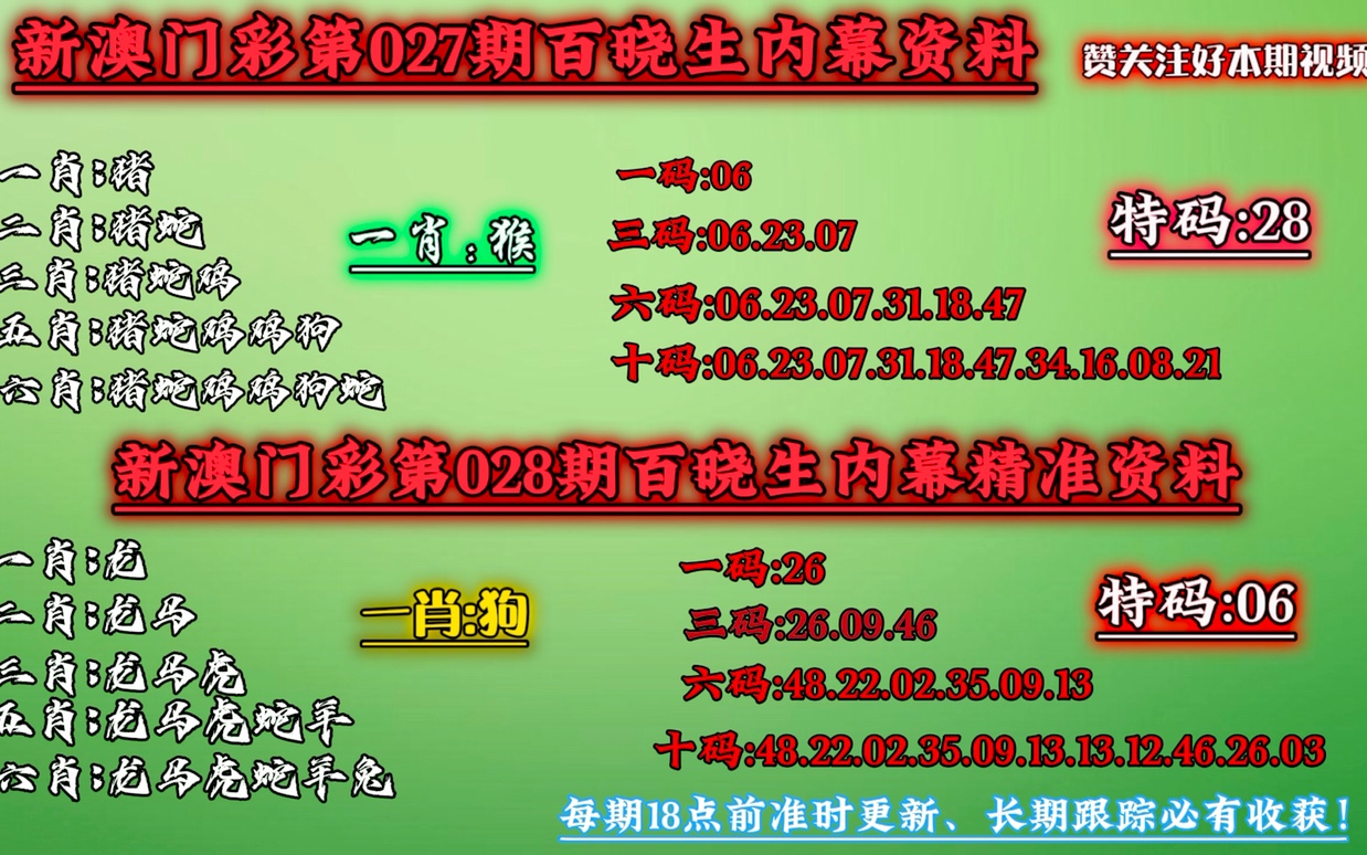 澳门新澳门一肖一码期期精准单双波色,精选解释解析落实