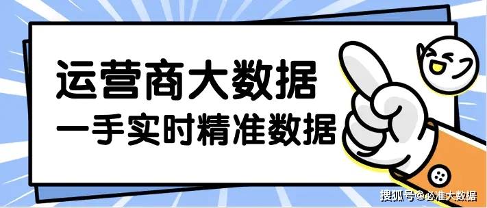 澳门4949精准免费大全,精选解释解析落实