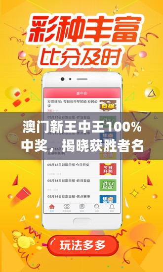 2025澳门王中王100%期期中-精选解释解析落实