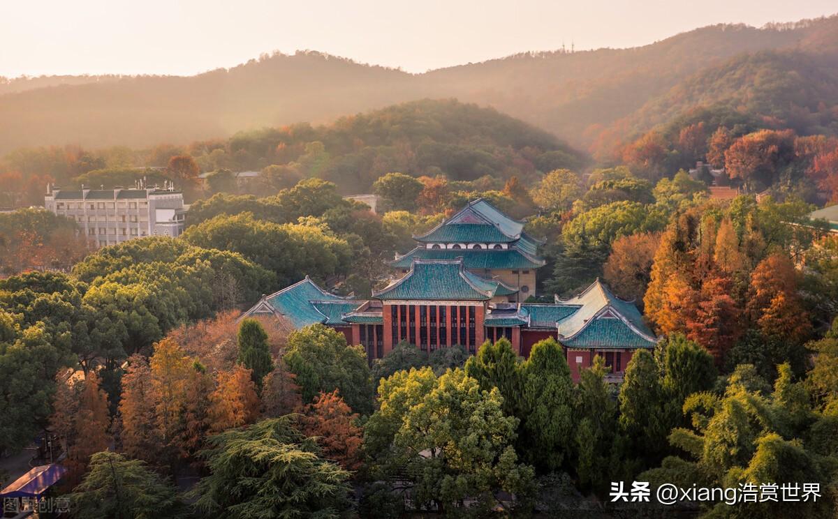 广东枫叶种植有限公司，枫叶下的繁荣与发展