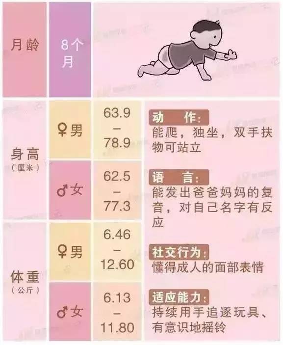 六个月宝宝指标，成长发育与早期教育的重要性