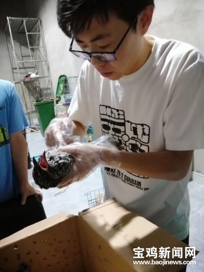 广东省动物实验人员要求及其职责与规范