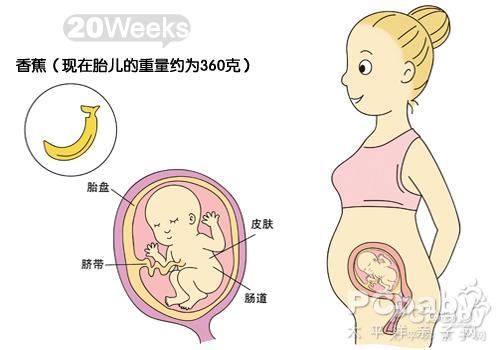 孕妇9个月是多少周，孕期周数的深度解析