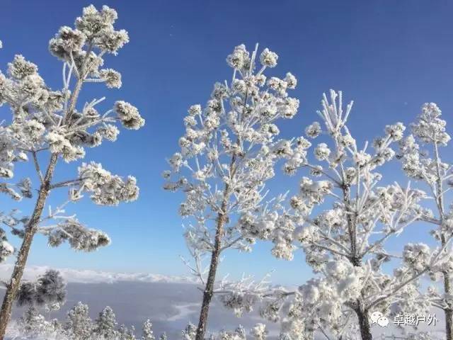 广东省滑雪比赛，激情与技术的完美融合