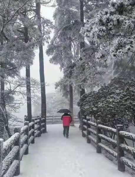 广东省下雪的城市及其独特魅力