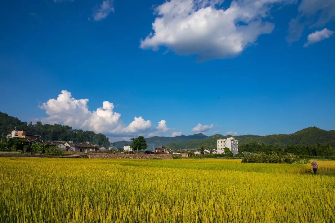 广东省田野的辽阔与魅力