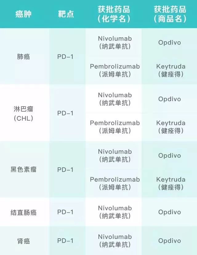 一个月发烧两次是否正常？解析身体信号背后的真相