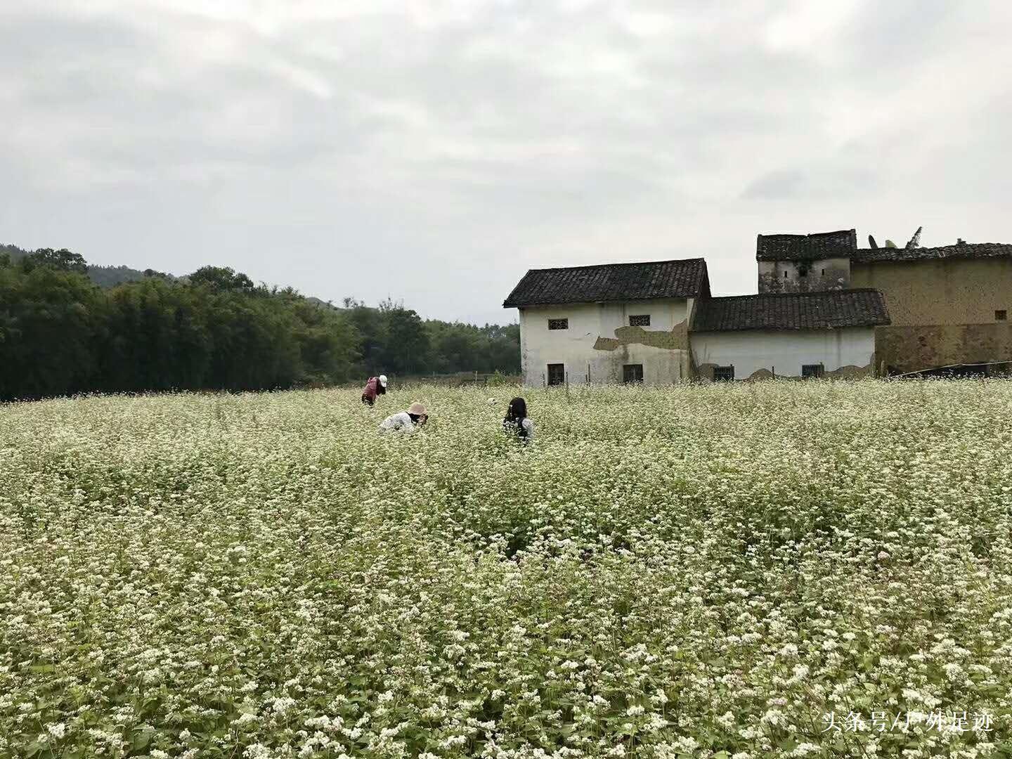 广东省与韩国的交流与发展