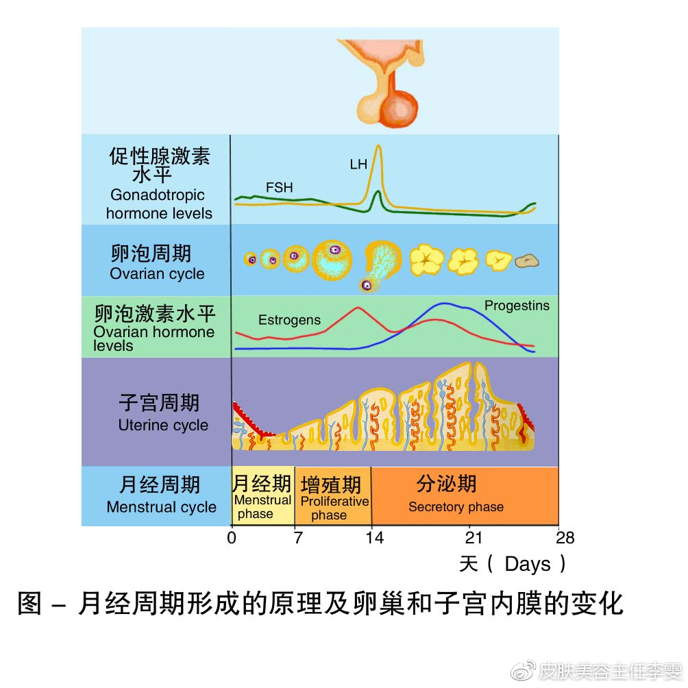 创业 第132页