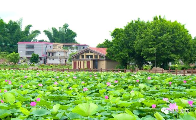 广东省恩平市，历史底蕴与现代魅力的交织之地