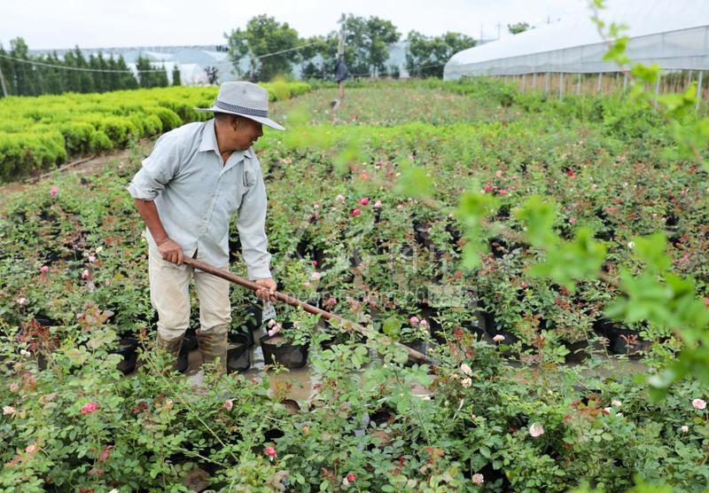 江苏高科技包装服务电话，连接您与优质包装解决方案的桥梁